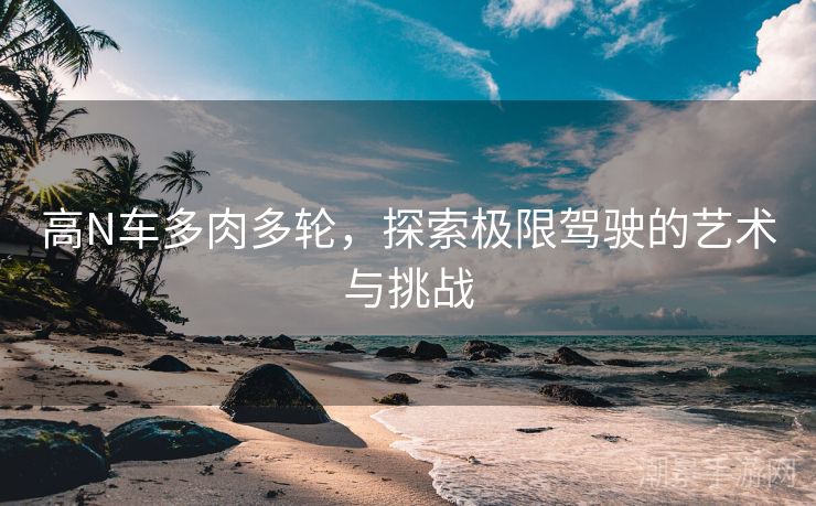 高N车多肉多轮，探索极限驾驶的艺术与挑战