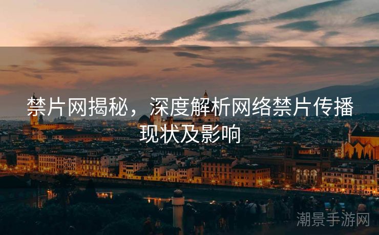 禁片网揭秘，深度解析网络禁片传播现状及影响
