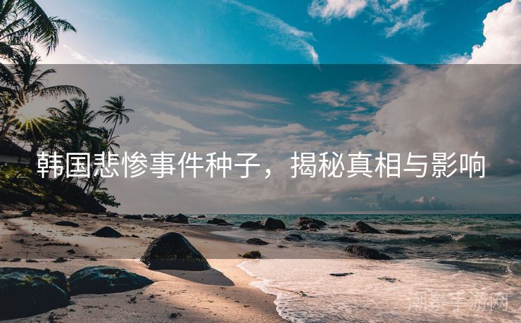 韩国悲惨事件种子，揭秘真相与影响