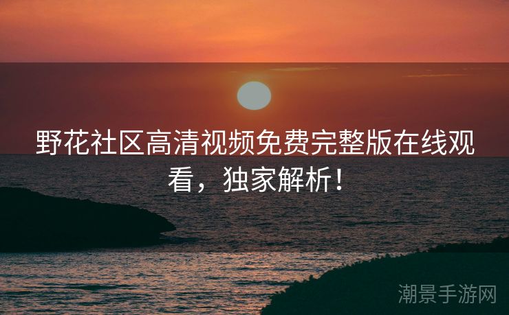 野花社区高清视频免费完整版在线观看，独家解析！