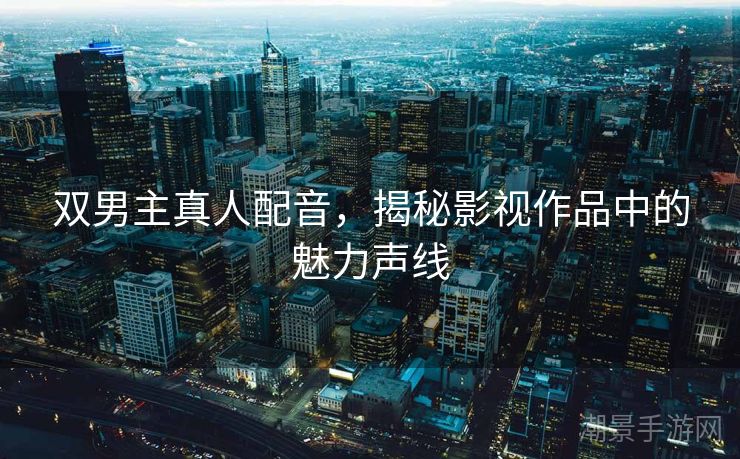 双男主真人配音，揭秘影视作品中的魅力声线