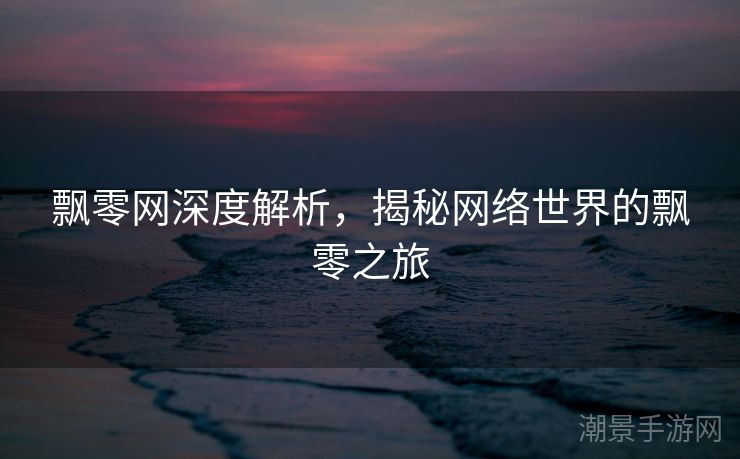飘零网深度解析，揭秘网络世界的飘零之旅