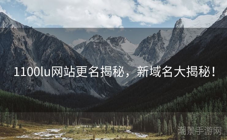 1100lu网站更名揭秘，新域名大揭秘！