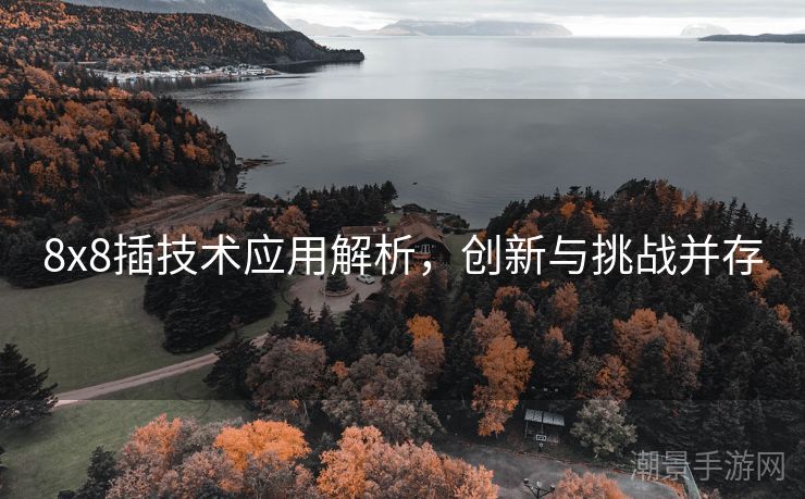 8x8插技术应用解析，创新与挑战并存