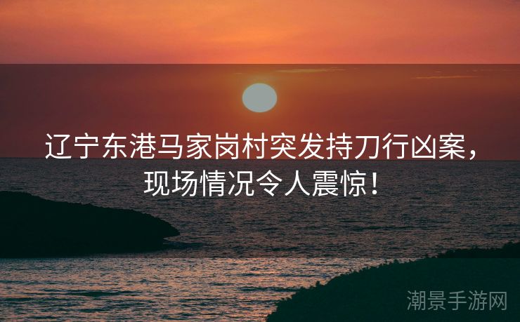辽宁东港马家岗村突发持刀行凶案，现场情况令人震惊！