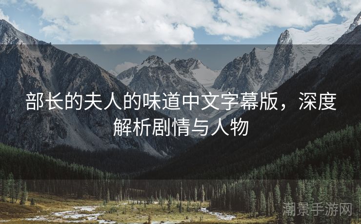 部长的夫人的味道中文字幕版，深度解析剧情与人物