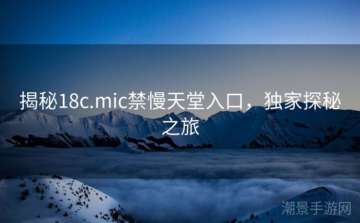 揭秘18c.mic禁慢天堂入口，独家探秘之旅