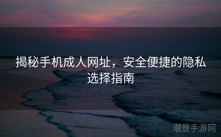 揭秘手机成人网址，安全便捷的隐私选择指南