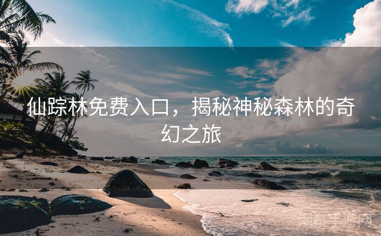 仙踪林免费入口，揭秘神秘森林的奇幻之旅