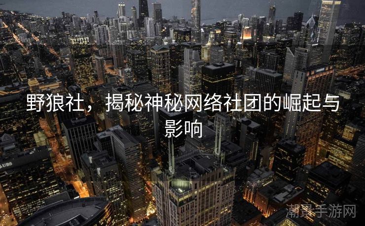 野狼社，揭秘神秘网络社团的崛起与影响