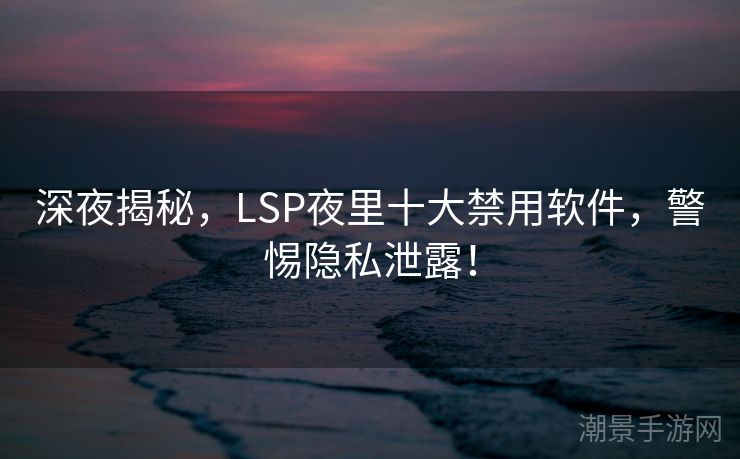 深夜揭秘，LSP夜里十大禁用软件，警惕隐私泄露！