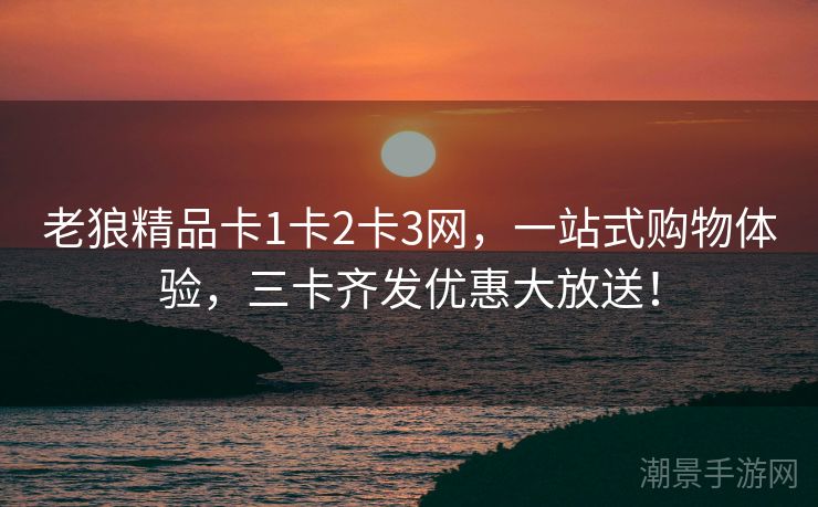老狼精品卡1卡2卡3网，一站式购物体验，三卡齐发优惠大放送！