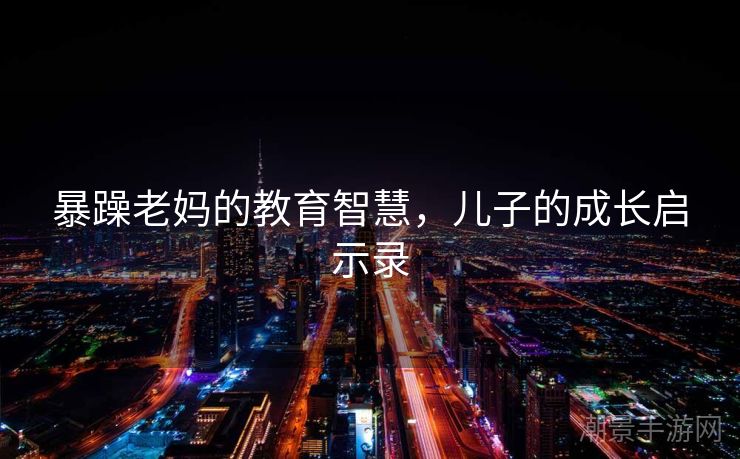 暴躁老妈的教育智慧，儿子的成长启示录