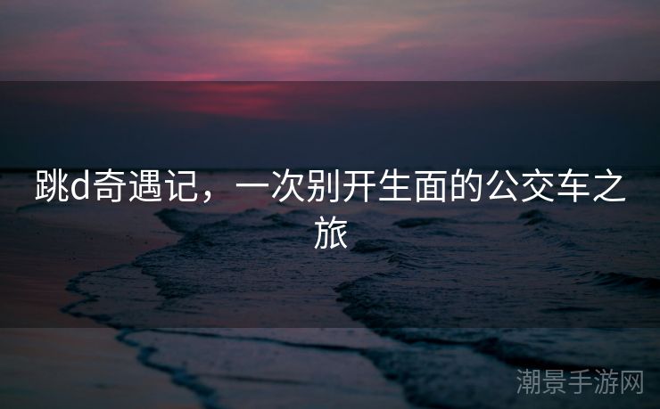 跳d奇遇记，一次别开生面的公交车之旅