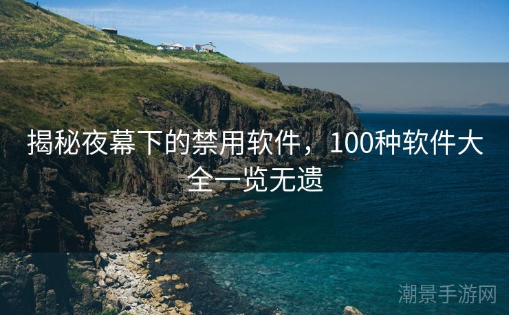 揭秘夜幕下的禁用软件，100种软件大全一览无遗