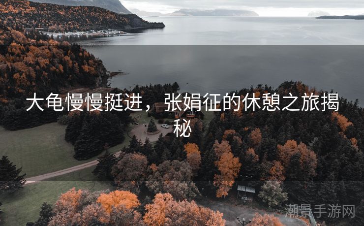 大龟慢慢挺进，张娟征的休憩之旅揭秘