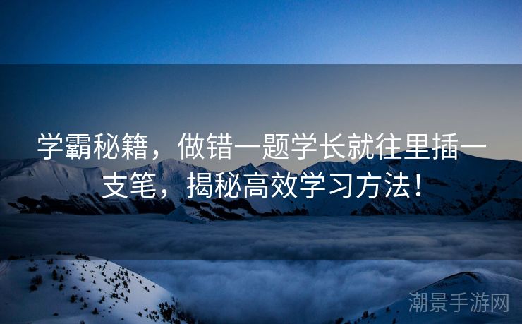 学霸秘籍，做错一题学长就往里插一支笔，揭秘高效学习方法！