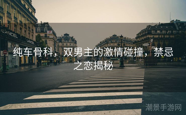 纯车骨科，双男主的激情碰撞，禁忌之恋揭秘