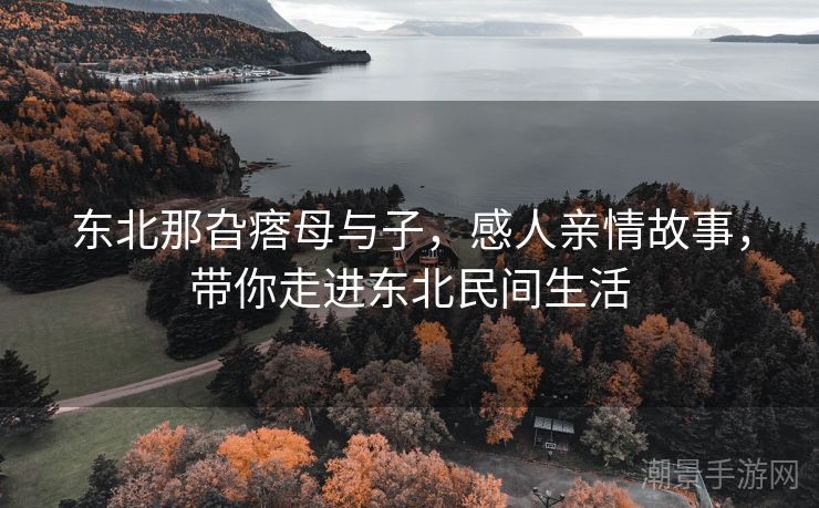 东北那旮瘩母与子，感人亲情故事，带你走进东北民间生活
