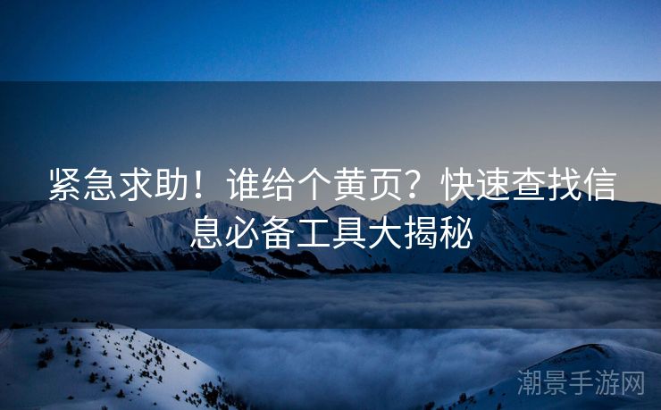 紧急求助！谁给个黄页？快速查找信息必备工具大揭秘