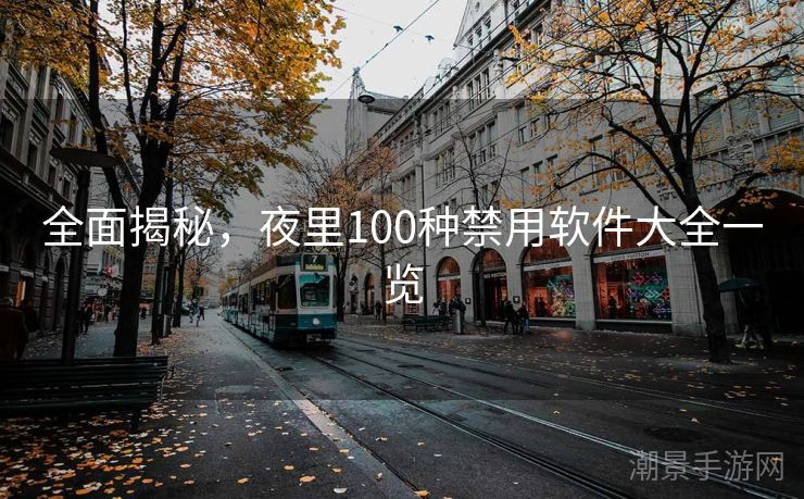 全面揭秘，夜里100种禁用软件大全一览