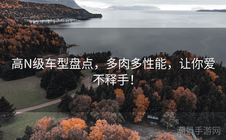 高N级车型盘点，多肉多性能，让你爱不释手！