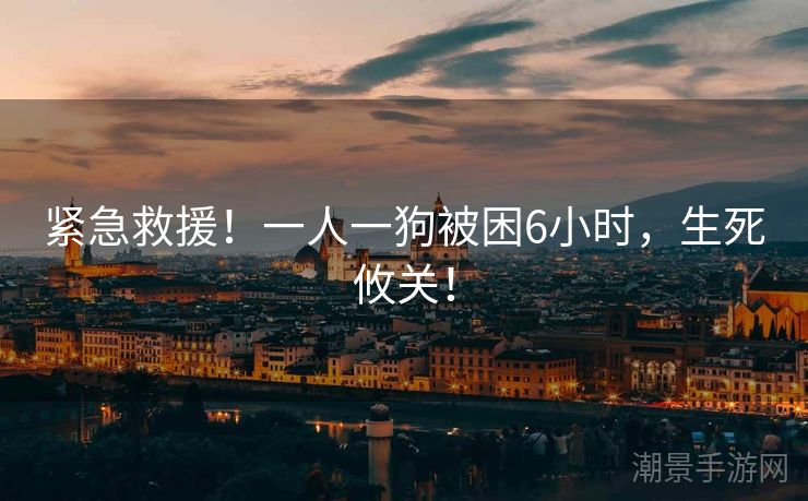 紧急救援！一人一狗被困6小时，生死攸关！