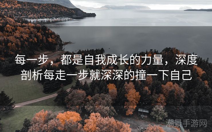 每一步，都是自我成长的力量，深度剖析每走一步就深深的撞一下自己