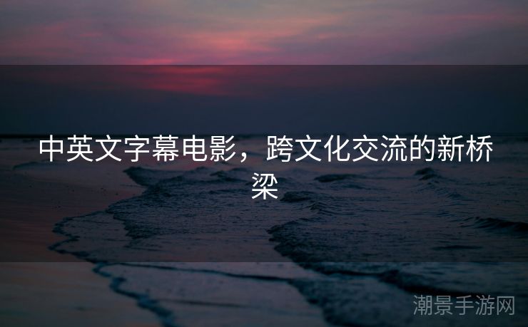中英文字幕电影，跨文化交流的新桥梁