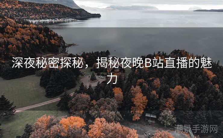 深夜秘密探秘，揭秘夜晚B站直播的魅力