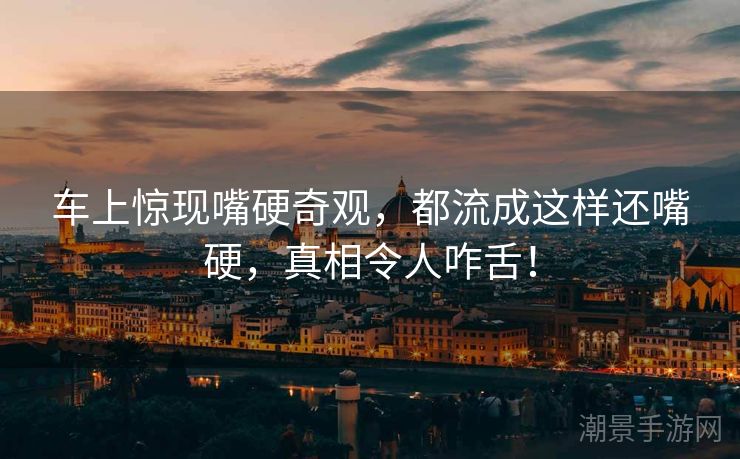 车上惊现嘴硬奇观，都流成这样还嘴硬，真相令人咋舌！