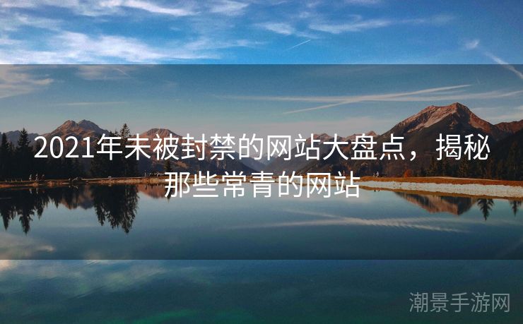 2021年未被封禁的网站大盘点，揭秘那些常青的网站