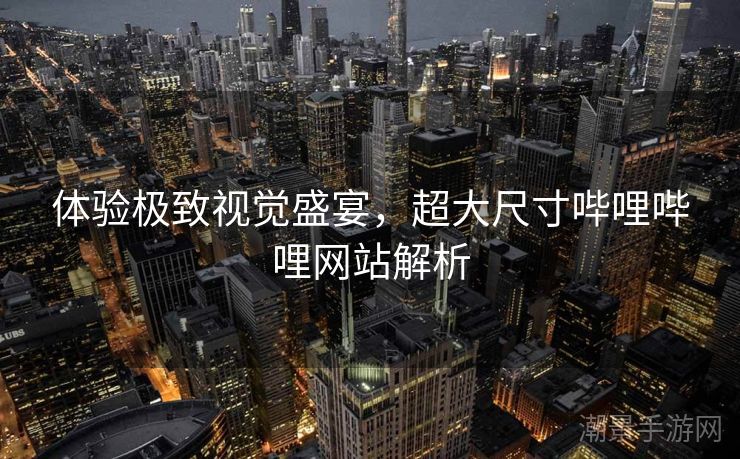 体验极致视觉盛宴，超大尺寸哔哩哔哩网站解析