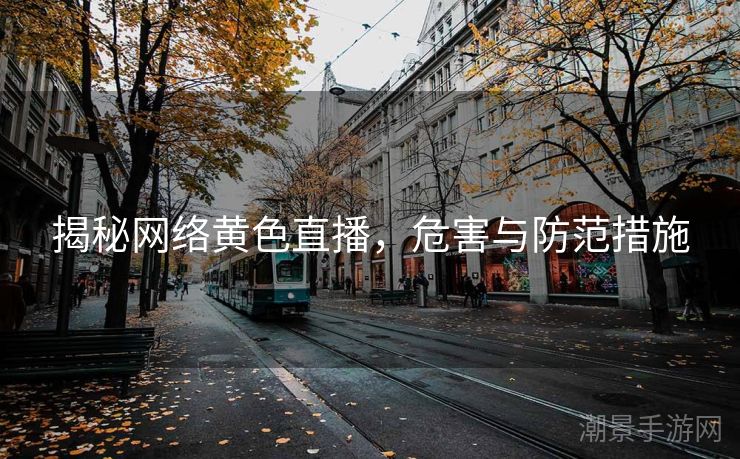 揭秘网络黄色直播，危害与防范措施