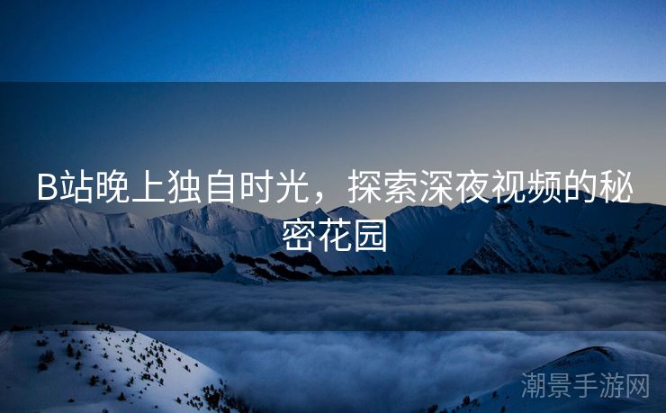B站晚上独自时光，探索深夜视频的秘密花园