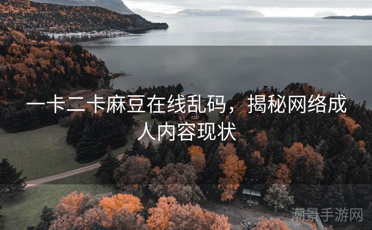 一卡二卡麻豆在线乱码，揭秘网络成人内容现状