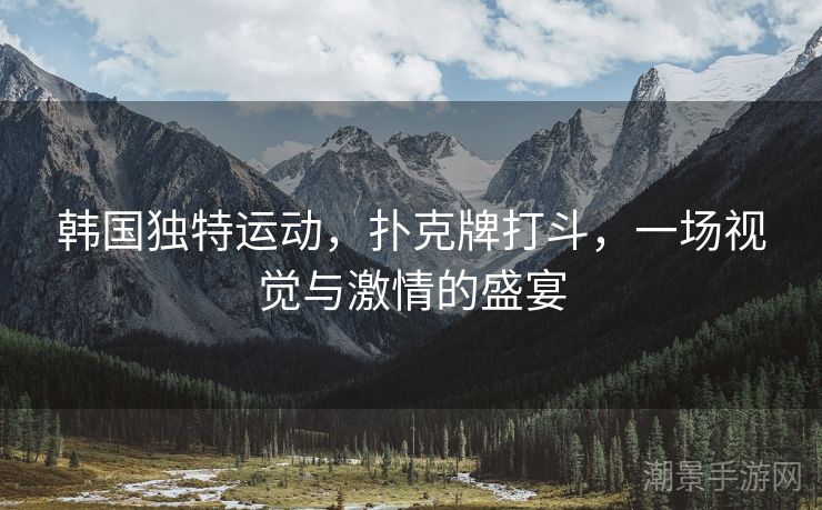 韩国独特运动，扑克牌打斗，一场视觉与激情的盛宴
