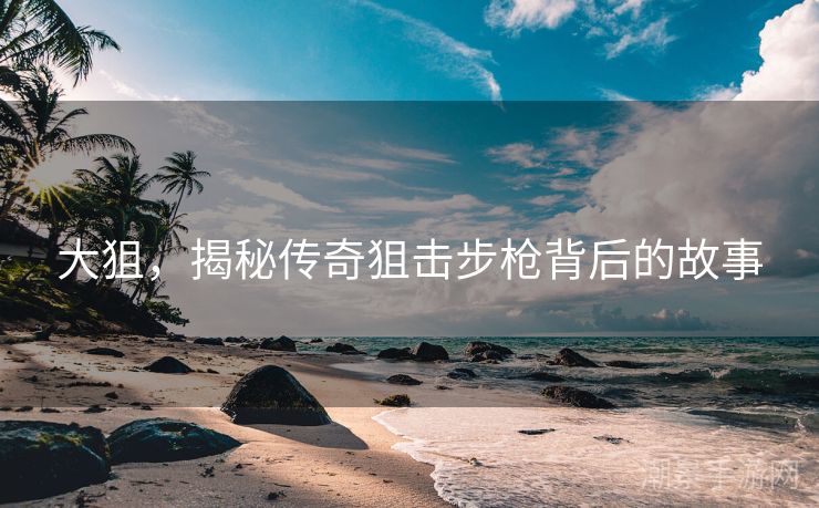 大狙，揭秘传奇狙击步枪背后的故事