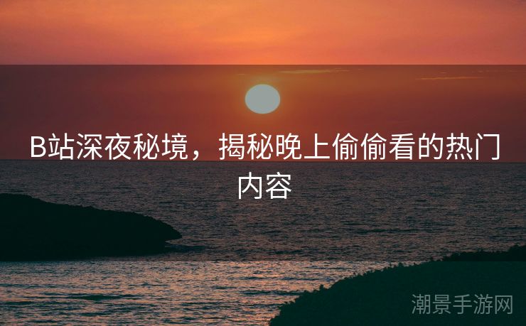 B站深夜秘境，揭秘晚上偷偷看的热门内容
