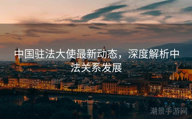 中国驻法大使最新动态，深度解析中法关系发展