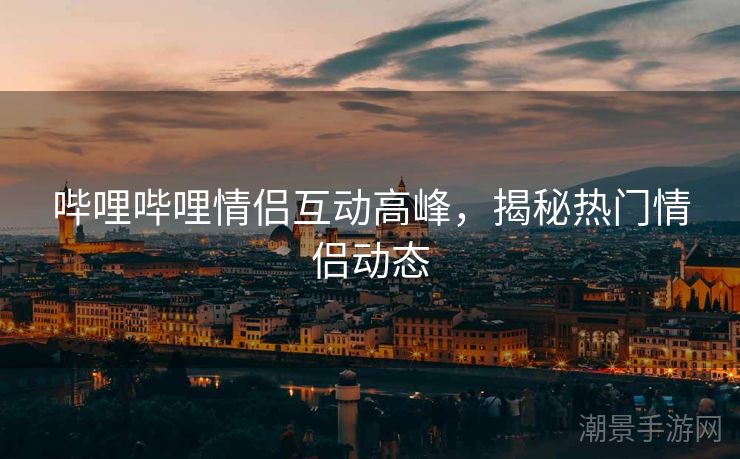 哔哩哔哩情侣互动高峰，揭秘热门情侣动态