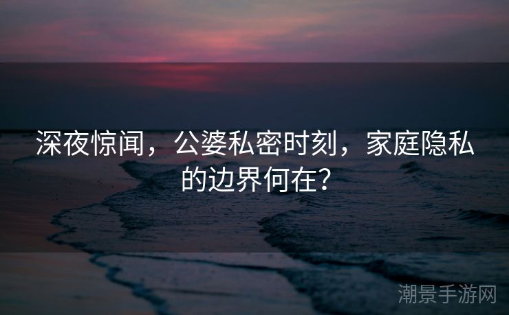 深夜惊闻，公婆私密时刻，家庭隐私的边界何在？