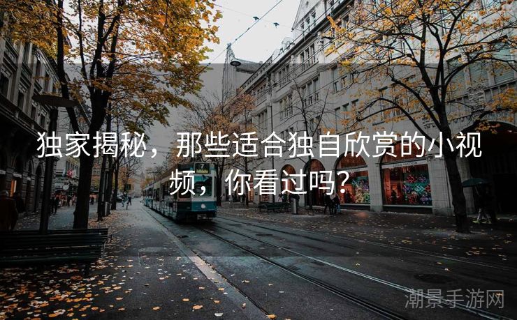 独家揭秘，那些适合独自欣赏的小视频，你看过吗？