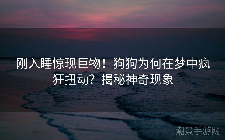 刚入睡惊现巨物！狗狗为何在梦中疯狂扭动？揭秘神奇现象