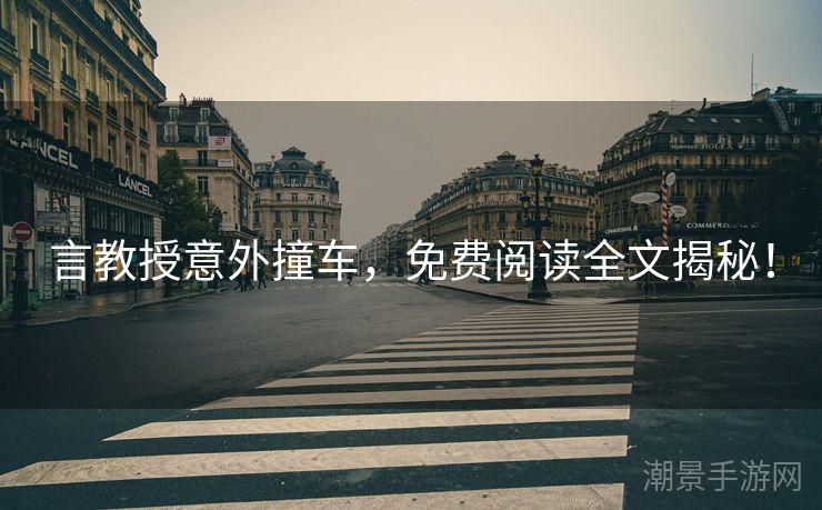 言教授意外撞车，免费阅读全文揭秘！