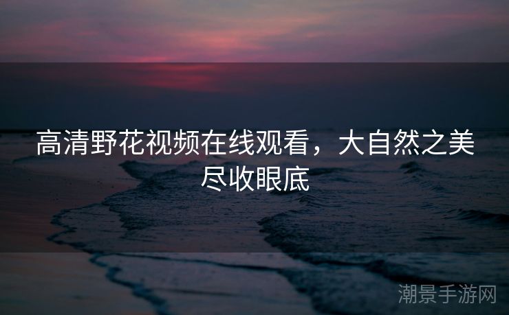 高清野花视频在线观看，大自然之美尽收眼底