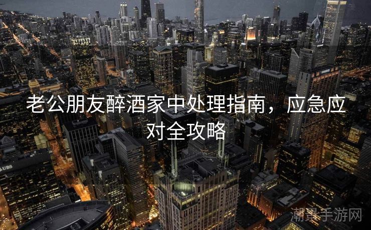 老公朋友醉酒家中处理指南，应急应对全攻略