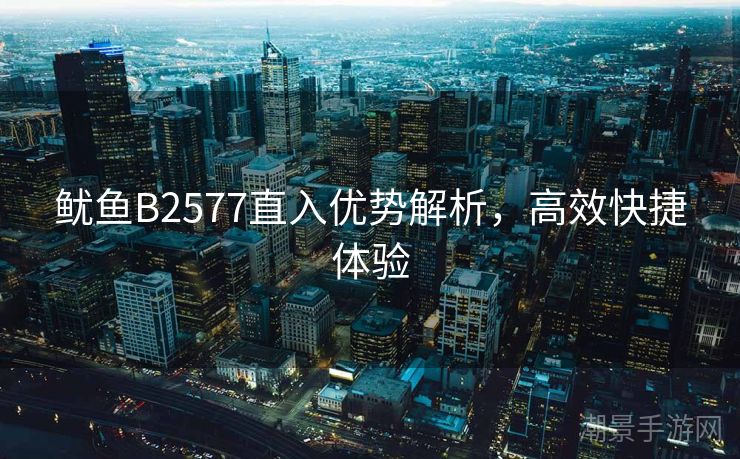 鱿鱼B2577直入优势解析，高效快捷体验
