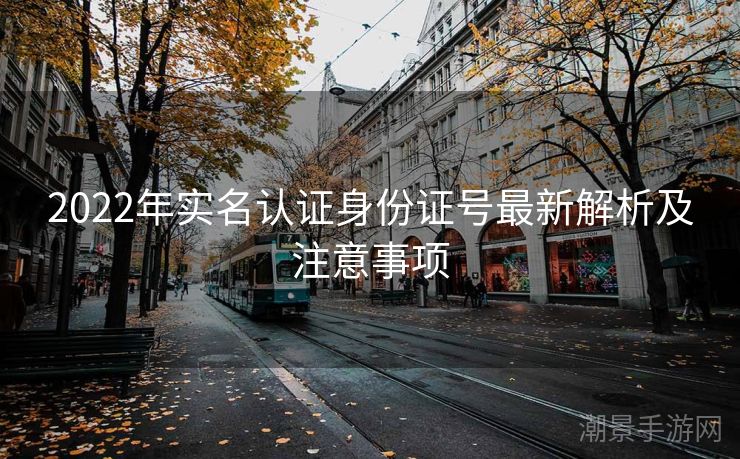 2022年实名认证身份证号最新解析及注意事项