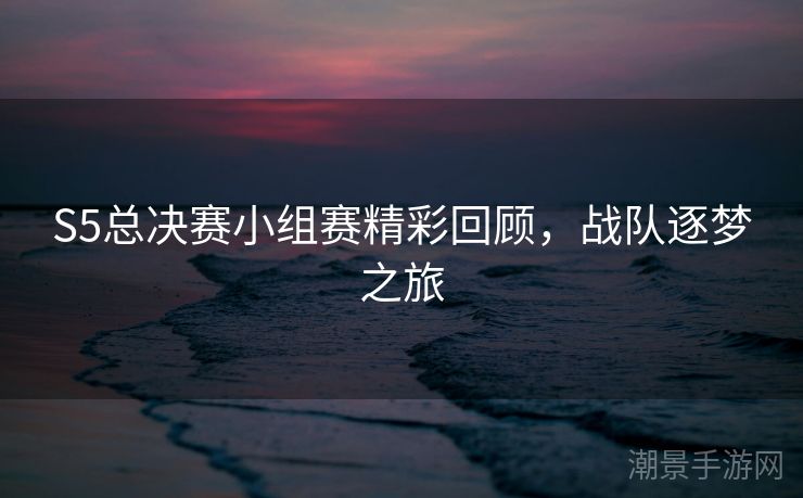 S5总决赛小组赛精彩回顾，战队逐梦之旅